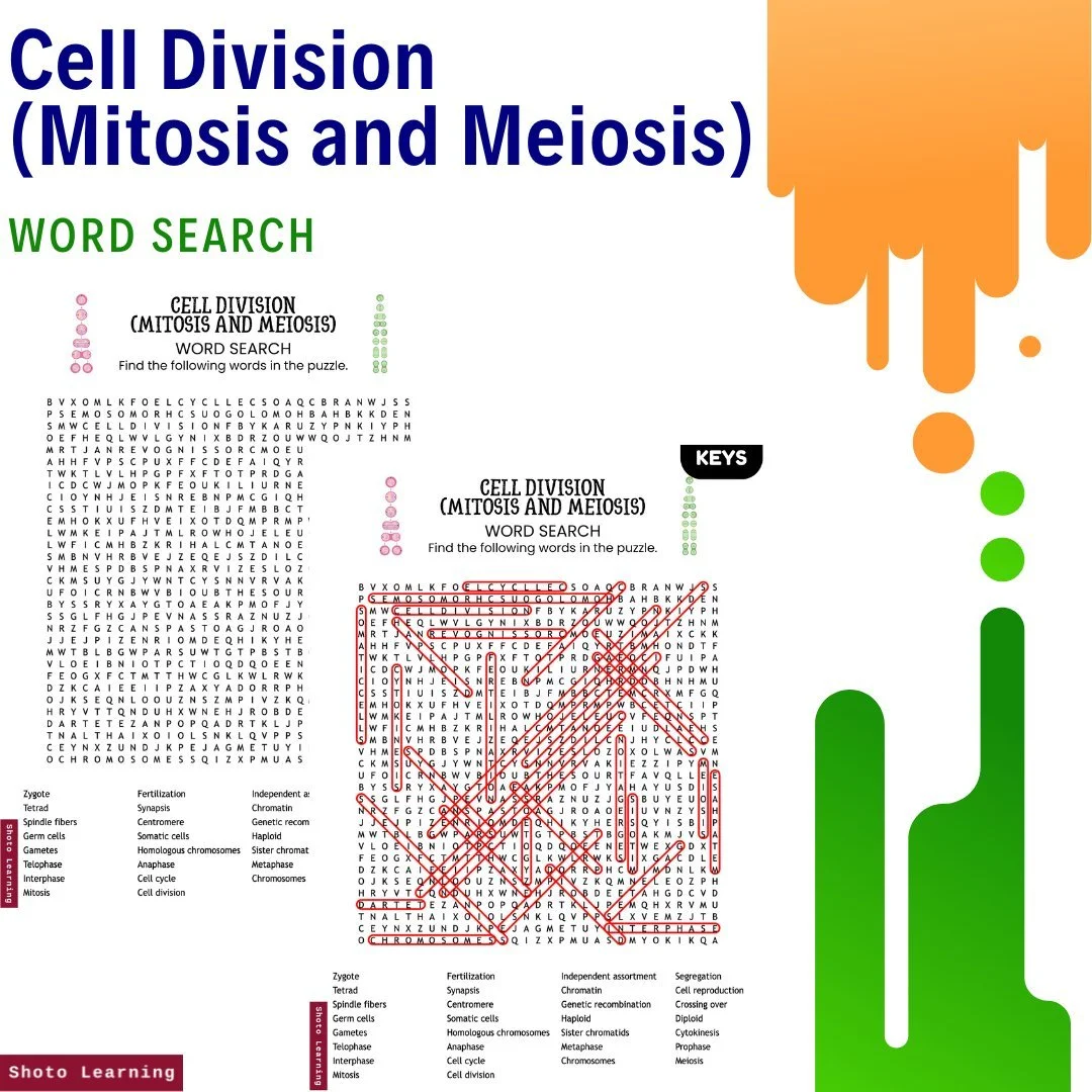 Cell+Division++(Mitosis+and+
